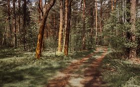 Hotel Natura Residence Business&Spa